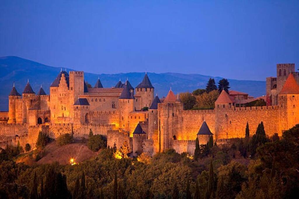 Chez Micka Apartamento Carcassonne Exterior foto